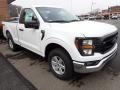 Front 3/4 View of 2023 F150 XL Regular Cab 4x4
