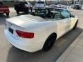 Ibis White - A5 Sport quattro Cabriolet Photo No. 46