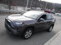 Magnetic Gray Metallic - RAV4 XLE AWD Photo No. 13