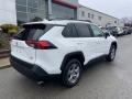 Ice Cap - RAV4 XLE AWD Photo No. 9