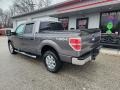 2014 Sterling Grey Ford F150 XLT SuperCrew 4x4  photo #2