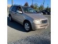 Desert Silver Metallic - ML 320 4Matic Photo No. 6