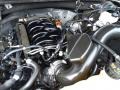 2019 Ford F150 5.0 Liter DI DOHC 32-Valve Ti-VCT E85 V8 Engine Photo