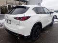 Rhodium White Metallic - CX-5 Turbo AWD Photo No. 2