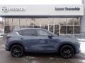 Polymetal Gray - CX-5 S Carbon Edition AWD Photo No. 1