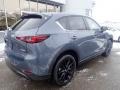 Polymetal Gray - CX-5 S Carbon Edition AWD Photo No. 2