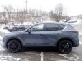 Polymetal Gray - CX-5 S Carbon Edition AWD Photo No. 6