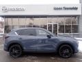 Polymetal Gray - CX-5 S Carbon Edition AWD Photo No. 1