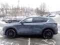 Polymetal Gray - CX-5 S Carbon Edition AWD Photo No. 6