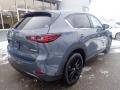 Polymetal Gray - CX-5 S Carbon Edition AWD Photo No. 2