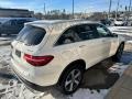 Polar White - GLC 300 4Matic Photo No. 13