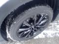 Snowflake White Pearl Mica - CX-9 Touring Plus AWD Photo No. 10