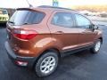 Canyon Ridge Metallic - EcoSport SE 4WD Photo No. 6