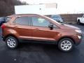 Canyon Ridge Metallic - EcoSport SE 4WD Photo No. 7