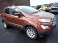 Canyon Ridge Metallic - EcoSport SE 4WD Photo No. 8