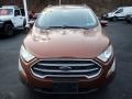 Canyon Ridge Metallic - EcoSport SE 4WD Photo No. 9