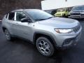 Billet Silver Metallic - Compass Trailhawk 4x4 Photo No. 8