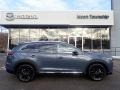 Polymetal Gray Metallic - CX-9 Carbon Edition AWD Photo No. 1