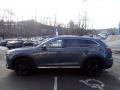 Polymetal Gray Metallic - CX-9 Carbon Edition AWD Photo No. 6