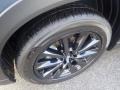 Polymetal Gray Metallic - CX-9 Carbon Edition AWD Photo No. 10