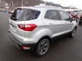 Moondust Silver Metallic - EcoSport Titanium 4WD Photo No. 8