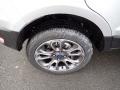 2022 Moondust Silver Metallic Ford EcoSport Titanium 4WD  photo #9