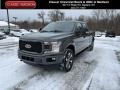 Magnetic - F150 STX SuperCrew 4x4 Photo No. 1