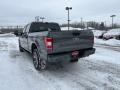 2020 Magnetic Ford F150 STX SuperCrew 4x4  photo #2