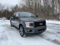 Magnetic - F150 STX SuperCrew 4x4 Photo No. 4