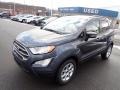 2022 Smoke Metallic Ford EcoSport SE 4WD  photo #4