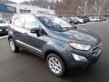 2022 Smoke Metallic Ford EcoSport SE 4WD  photo #2