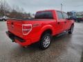 2014 Race Red Ford F150 STX SuperCrew 4x4  photo #4