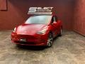 Red Multi-Coat - Model Y Long Range AWD Photo No. 1