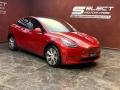 Red Multi-Coat - Model Y Long Range AWD Photo No. 3