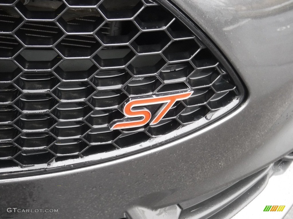 2017 Fiesta ST Hatchback - Magnetic / Charcoal Black photo #6