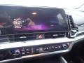 Gravity Gray - Sportage Hybrid EX AWD Photo No. 18
