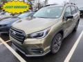 Autumn Green Metallic 2022 Subaru Ascent Onyx Edition