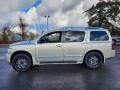 Serengeti Sand - QX 56 4WD Photo No. 4