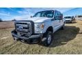 Oxford White - F250 Super Duty XLT Crew Cab 4x4 Photo No. 9