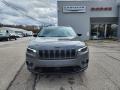Sting-Gray - Cherokee Altitude Lux 4x4 Photo No. 7
