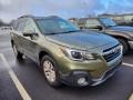 2019 Wilderness Green Metallic Subaru Outback 2.5i Premium  photo #3