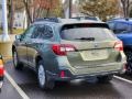 2019 Wilderness Green Metallic Subaru Outback 2.5i Premium  photo #7