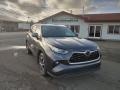 Magnetic Gray Metallic - Highlander XLE AWD Photo No. 1