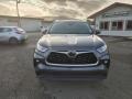 Magnetic Gray Metallic - Highlander XLE AWD Photo No. 2