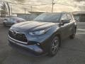 Magnetic Gray Metallic - Highlander XLE AWD Photo No. 3