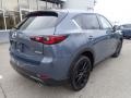 Polymetal Gray - CX-5 S Carbon Edition AWD Photo No. 2