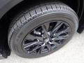 Polymetal Gray - CX-5 S Carbon Edition AWD Photo No. 10