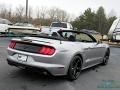 Iconic Silver Metallic - Mustang EcoBoost Convertible Photo No. 5