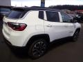 2022 Bright White Jeep Compass Limited 4x4  photo #6