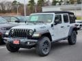 Earl - Wrangler Unlimited Willys 4XE Hybrid Photo No. 1